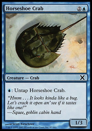 【ENG】《馬蹄蟹/Horseshoe Crab》[第十版]