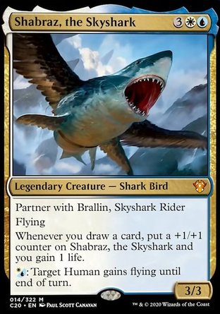 【ENG】《＜飛天鯊魚剎霸＞/Shabraz, the Skyshark》[指揮官2020禮盒]
