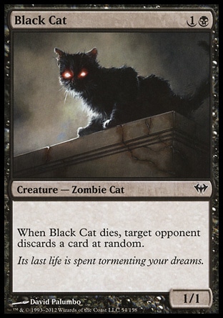 【ENG】《黑貓/Black Cat》[黑影籠罩]