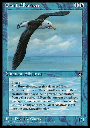 【ENG】《＜巨型信天翁＞/Giant Albatross》[家鄉]