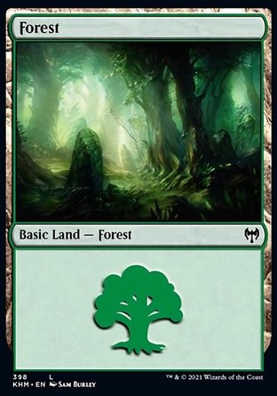 【ENG】《樹林/Forest》[凱德海姆]