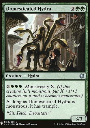 【ENG】《馴化多頭龍/Domesticated Hydra》[神秘補充包]