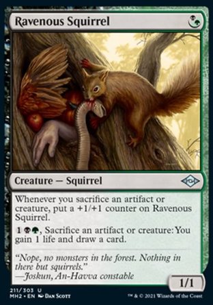 【ENG】《貪食松鼠/Ravenous Squirrel》[近代新篇二]