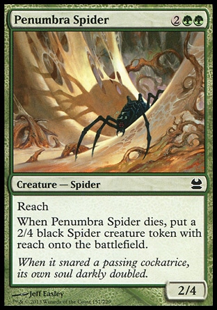 【ENG】《罔兩蜘蛛/Penumbra Spider》[近代大師]