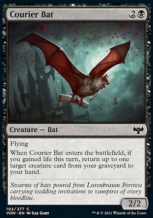 【ENG】《訊使蝙蝠/Courier Bat》[依尼翠：腥紅婚誓]